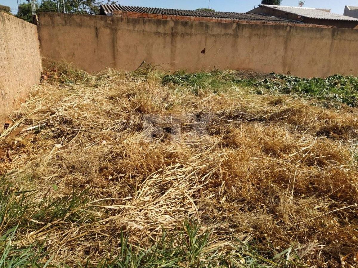Terreno à venda - Vila Nossa Senhora das Graças,Campo Grande